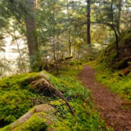Le Domaine Du Bien-etre בית נופש