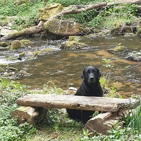 בית נופש Le Domaine Du Bien-etre